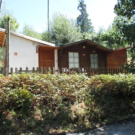 Bungalow "A Choupana" - Quinta Da Carvoica - Vale Pradinhos Vale de Pradinhos Eksteriør bilde