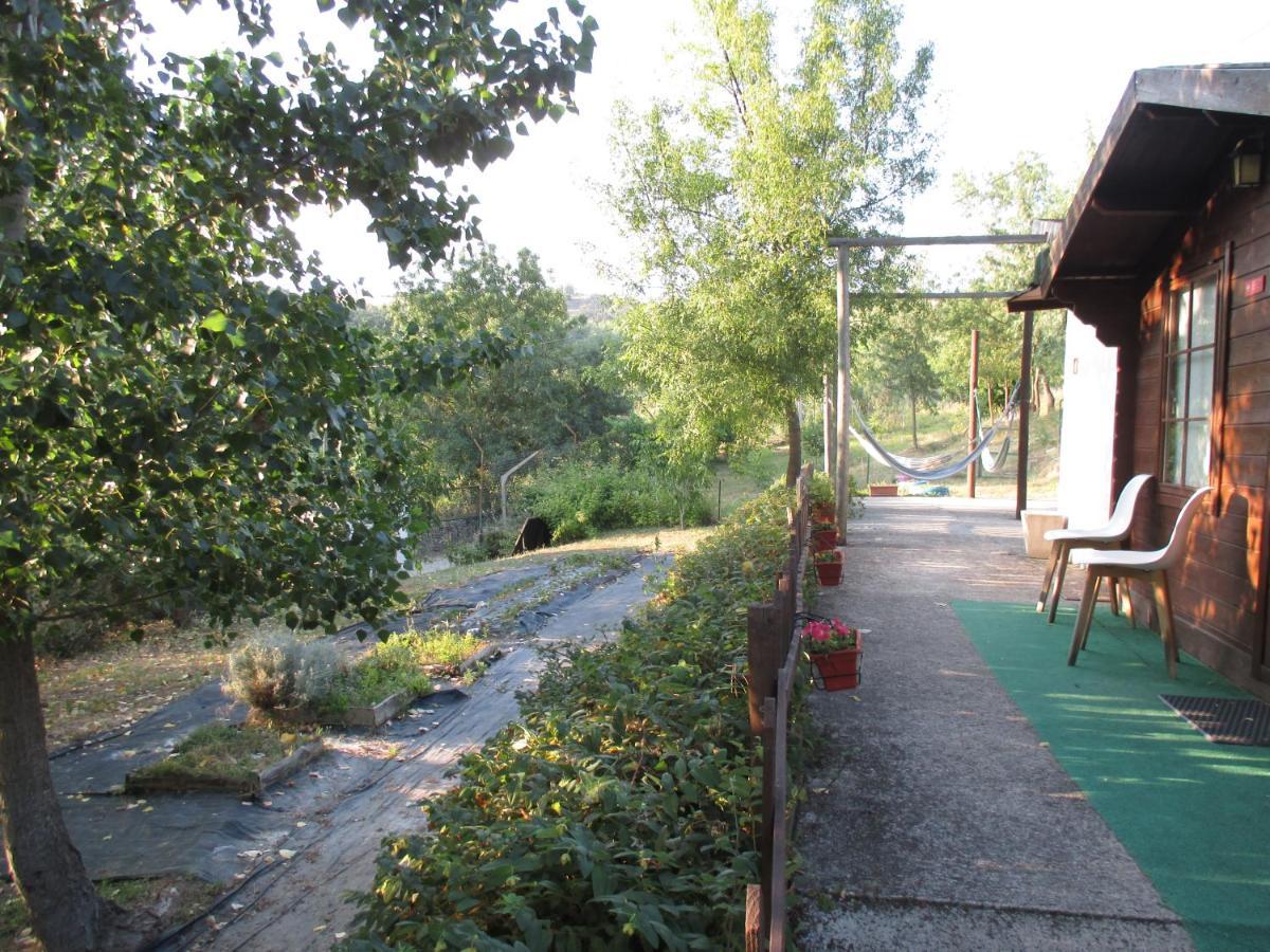 Bungalow "A Choupana" - Quinta Da Carvoica - Vale Pradinhos Vale de Pradinhos Eksteriør bilde