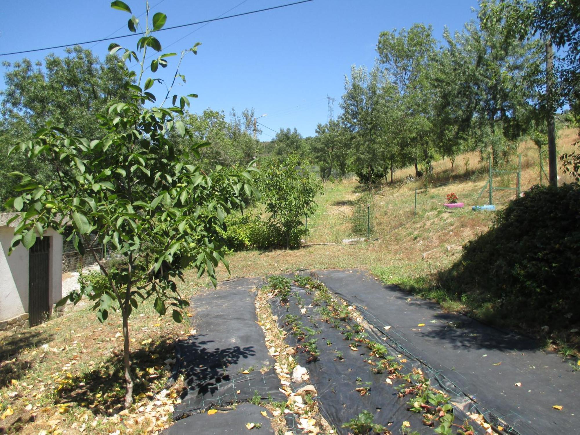 Bungalow "A Choupana" - Quinta Da Carvoica - Vale Pradinhos Vale de Pradinhos Eksteriør bilde
