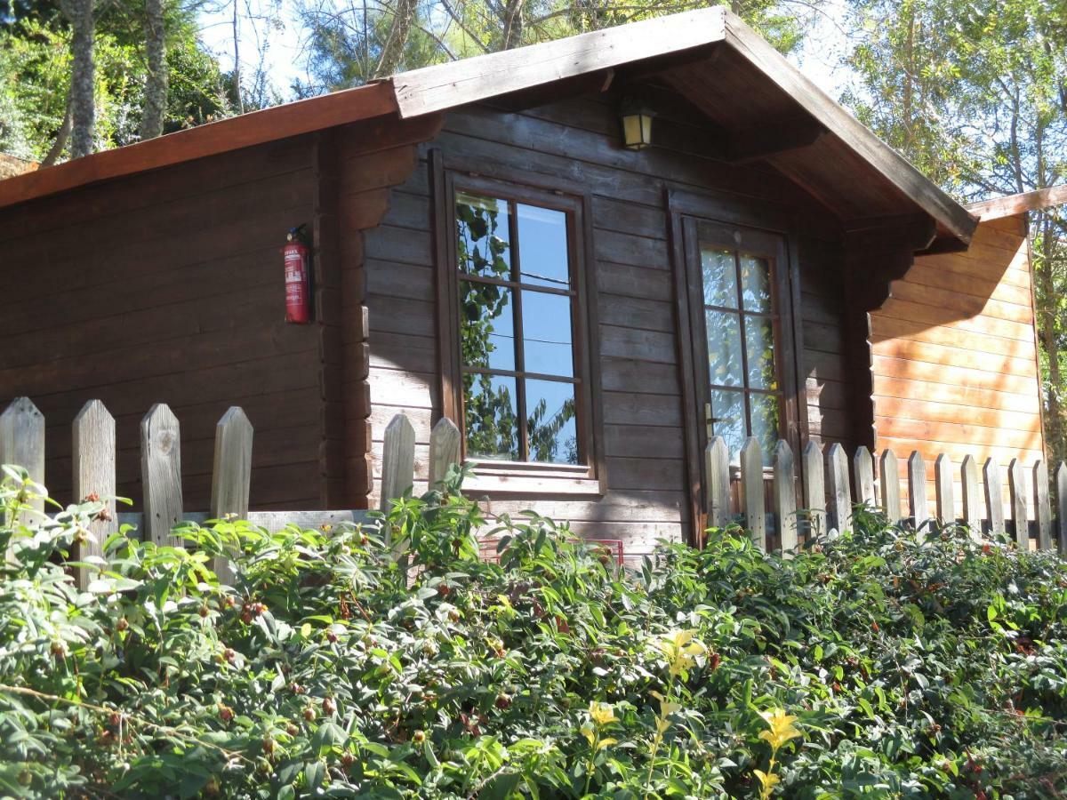 Bungalow "A Choupana" - Quinta Da Carvoica - Vale Pradinhos Vale de Pradinhos Eksteriør bilde